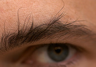 bushy eyebrow Eyebrows...trim em! Because you should have two, not one.