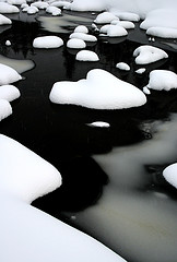 Photo by John Ivara