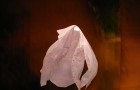 Another shirt, ruined!