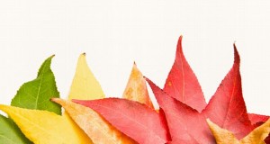 Fight skin dehydration no matter the season!