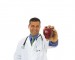 Will an apple a day REALLY keep the doctor away?