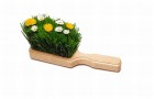Time for a little “Spring Grooming”!